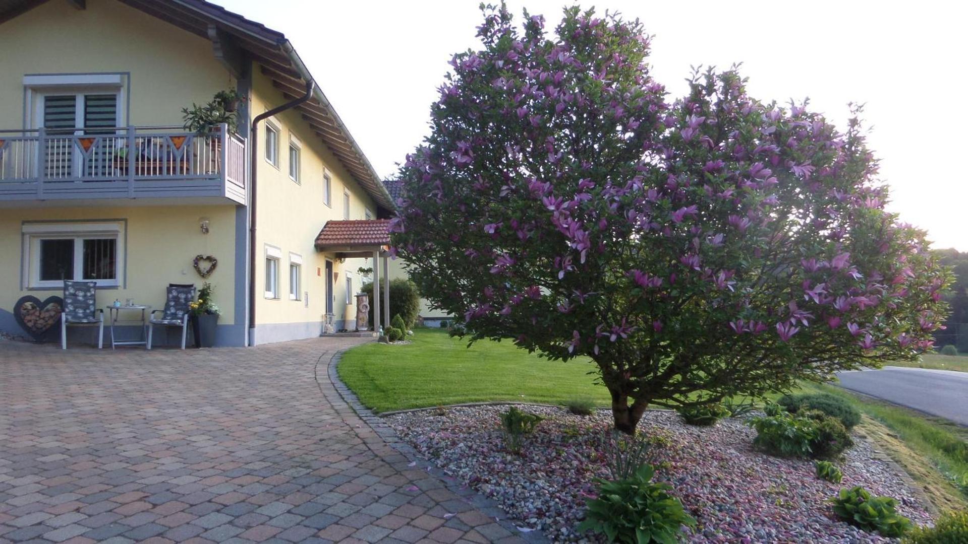 Fw & Fh Luesselfeld Apartman Zwiesel Kültér fotó